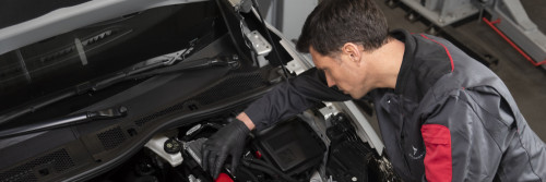 DS Fixed Price Servicing and Repairs